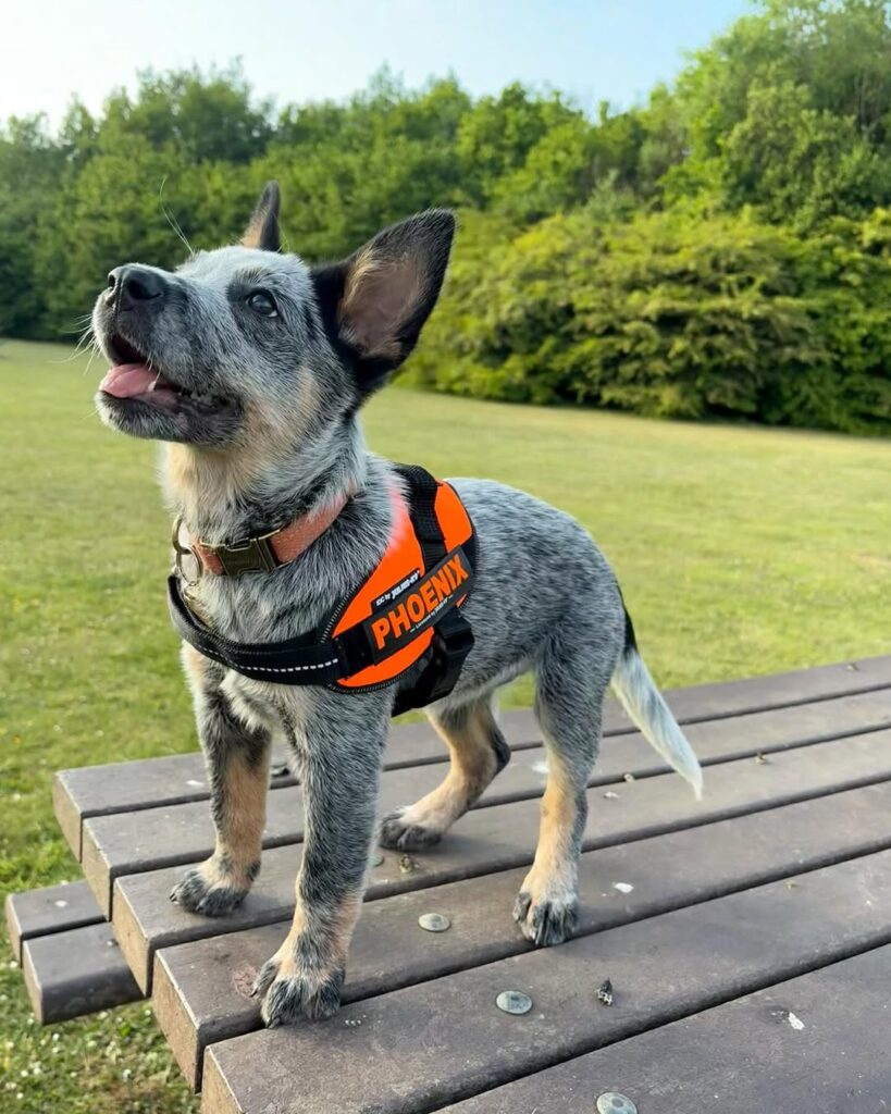 16ee2778 68e0 4327 8552 a05f29b361ba