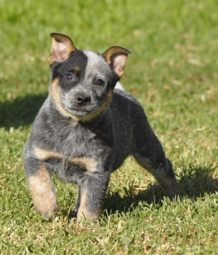 43866417 d49e 4f2a 8abc 63f15dd522a9