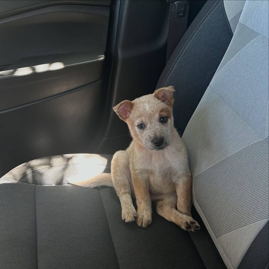 6ffa5546 8d7b 430a a1e4 ba1bc0fca616