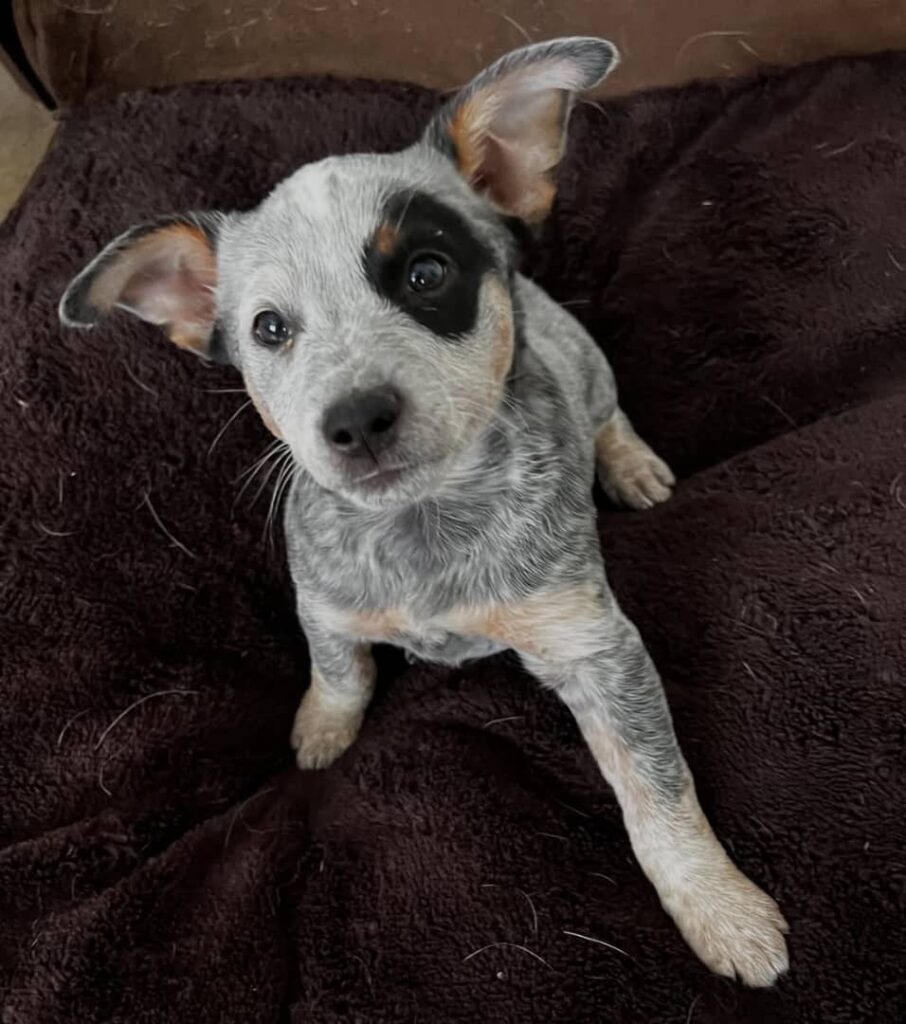 8fc34d6a ca23 433b 910c 9fb3764102f8