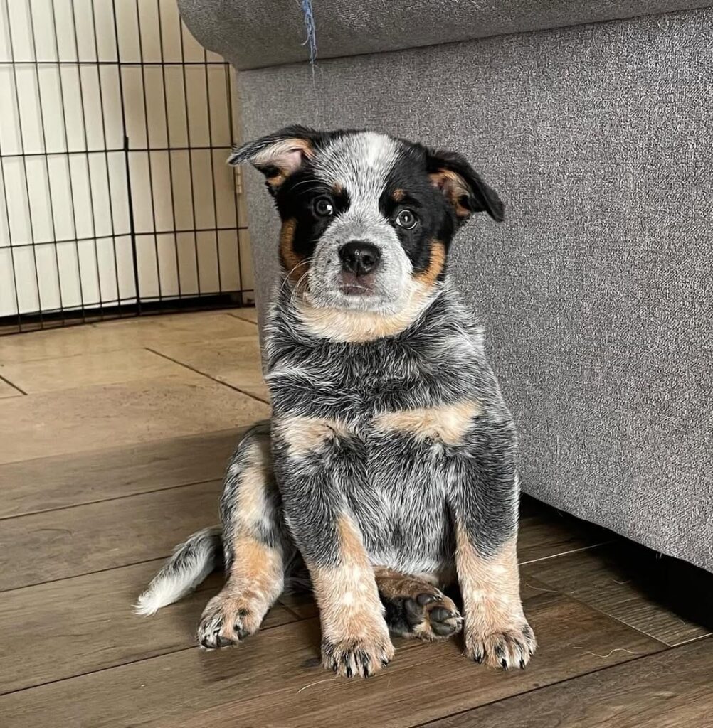 a51b972c 0429 403f 8b69 34e09c81fc19