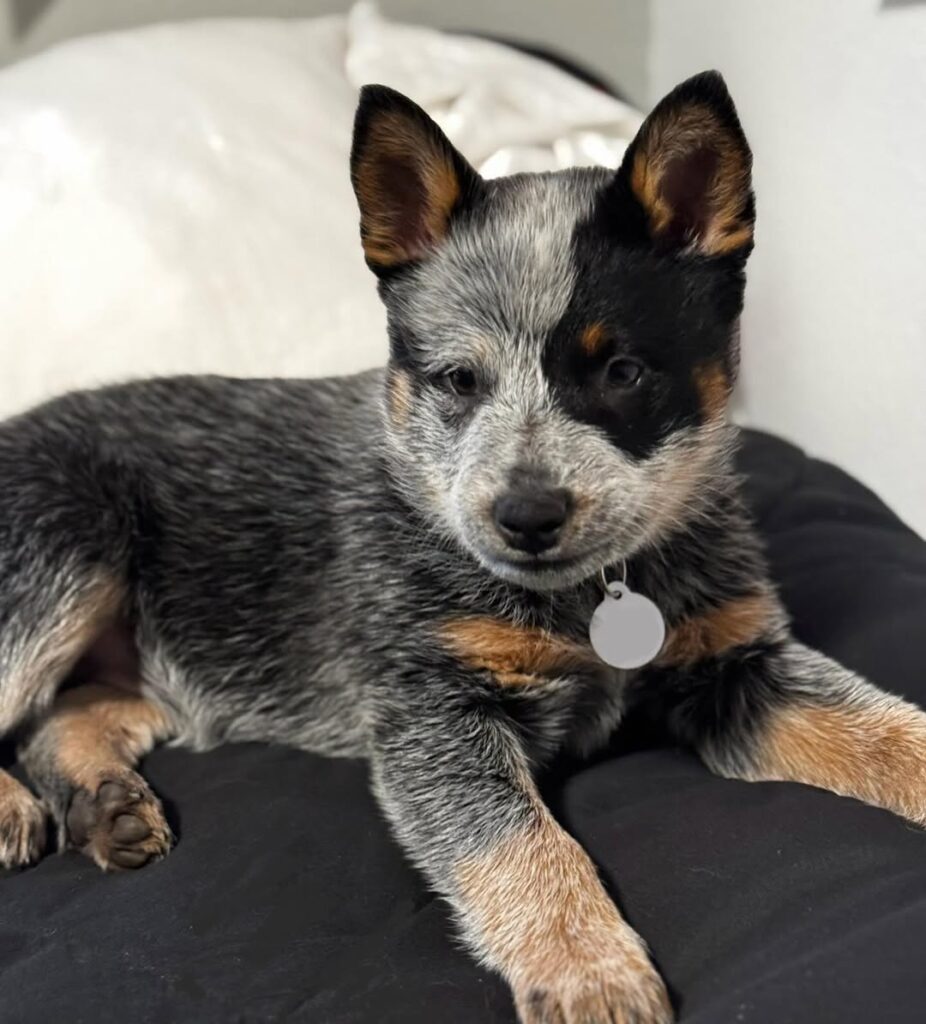 d2c6496c f03e 4c07 98e5 91527f97a5f5