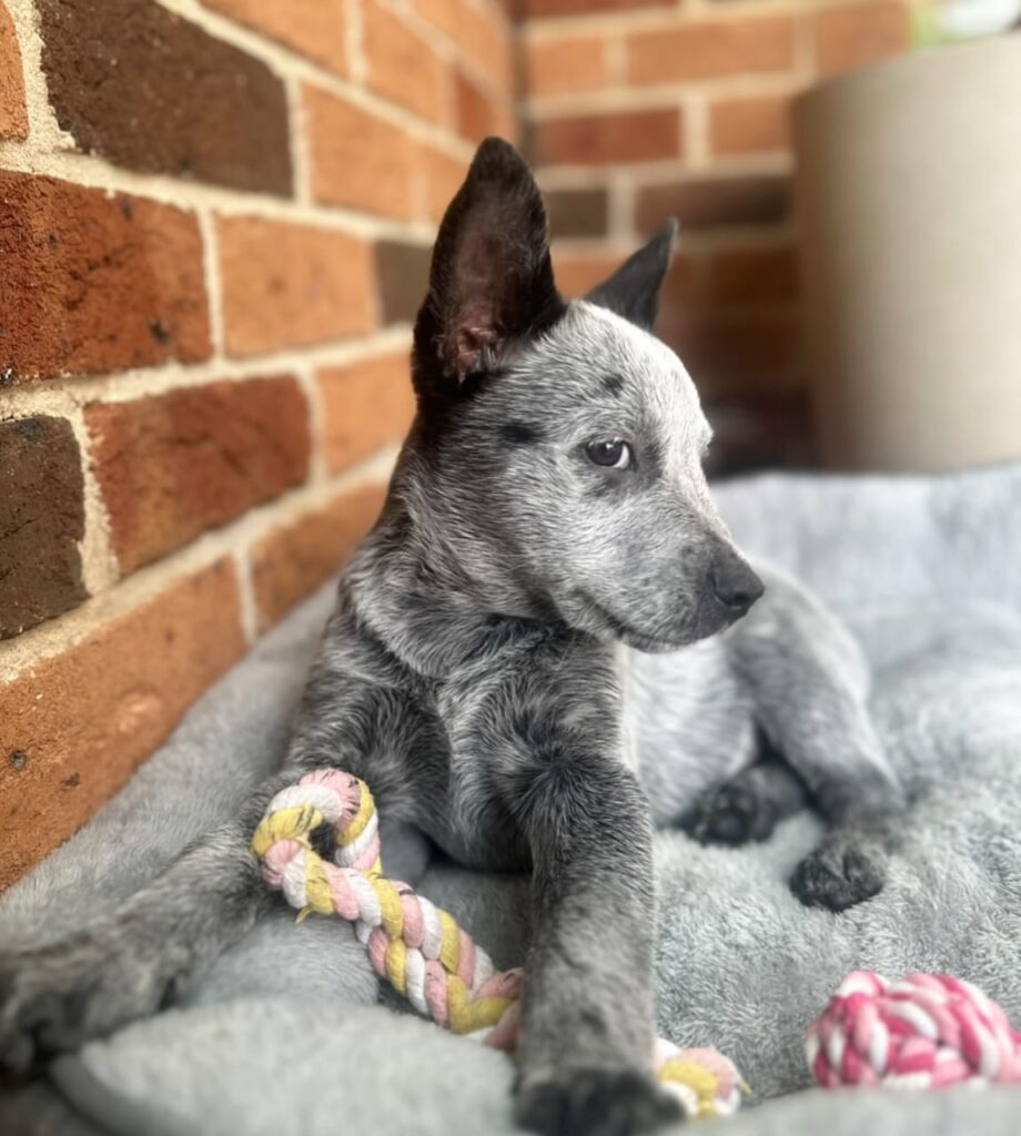 f89cfb7c f308 4162 ba4e 0d410030586c